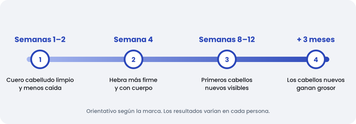 Línea de tiempo de resultados